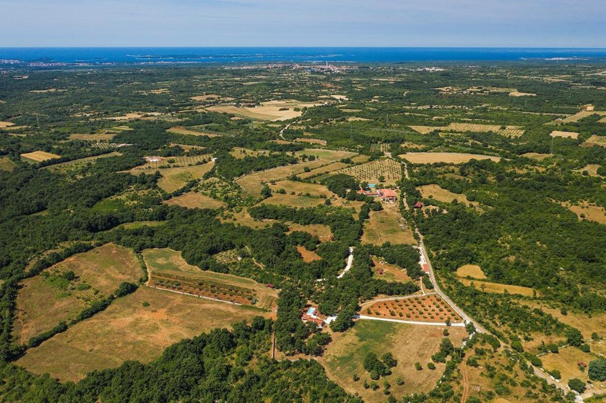 Villa Martinetinka Vodnjan Exteriér fotografie