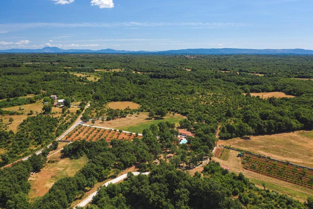 Villa Martinetinka Vodnjan Exteriér fotografie