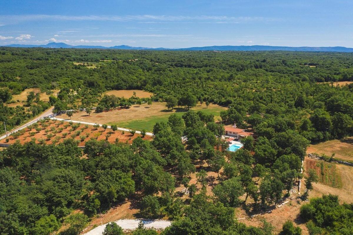 Villa Martinetinka Vodnjan Exteriér fotografie