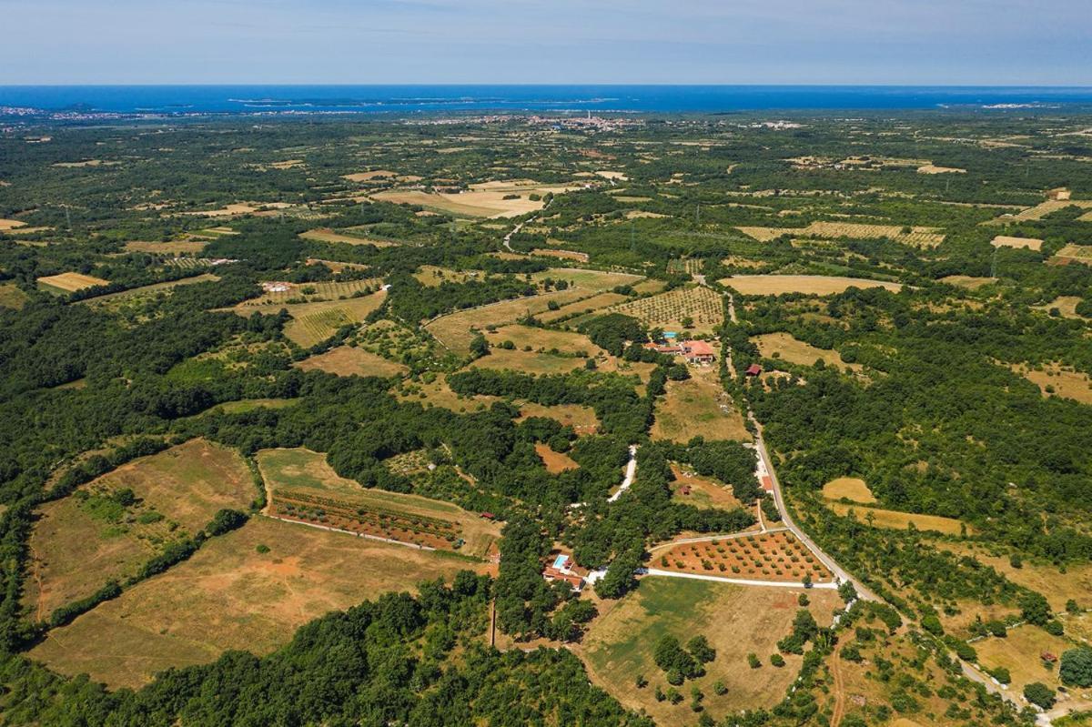 Villa Martinetinka Vodnjan Exteriér fotografie