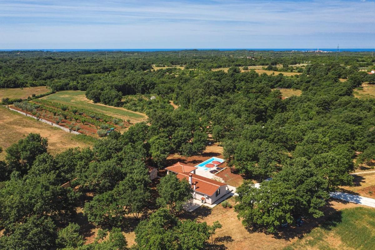 Villa Martinetinka Vodnjan Exteriér fotografie