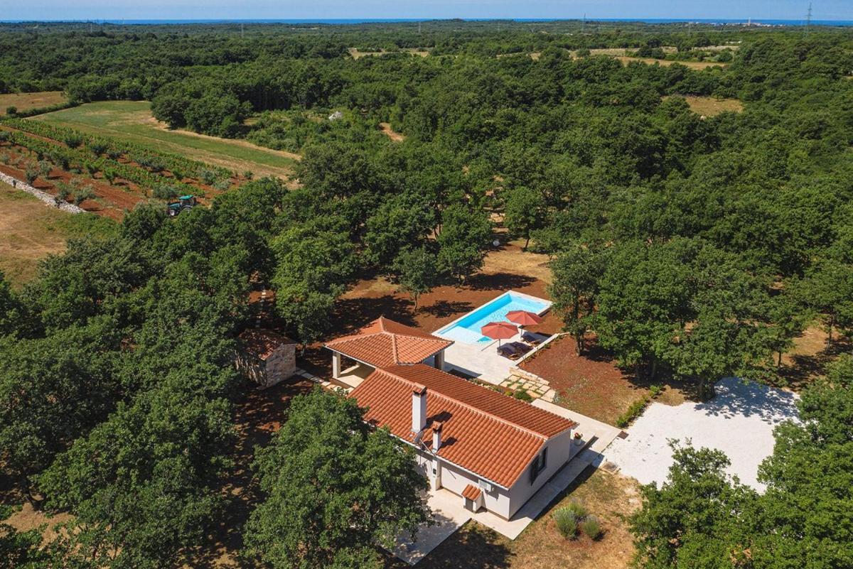 Villa Martinetinka Vodnjan Exteriér fotografie