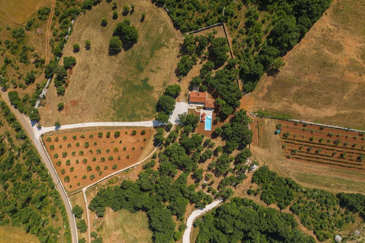 Villa Martinetinka Vodnjan Exteriér fotografie