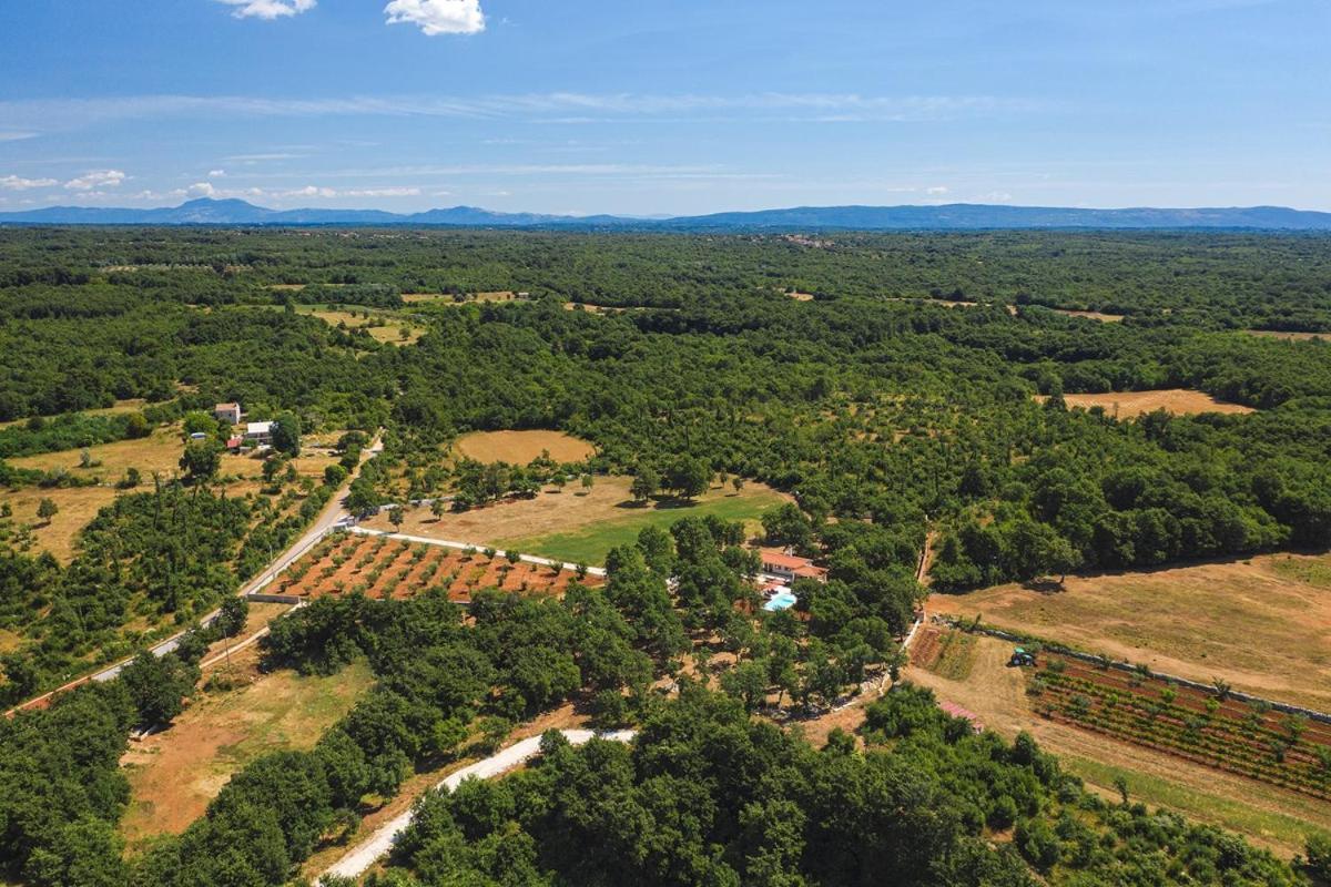Villa Martinetinka Vodnjan Exteriér fotografie