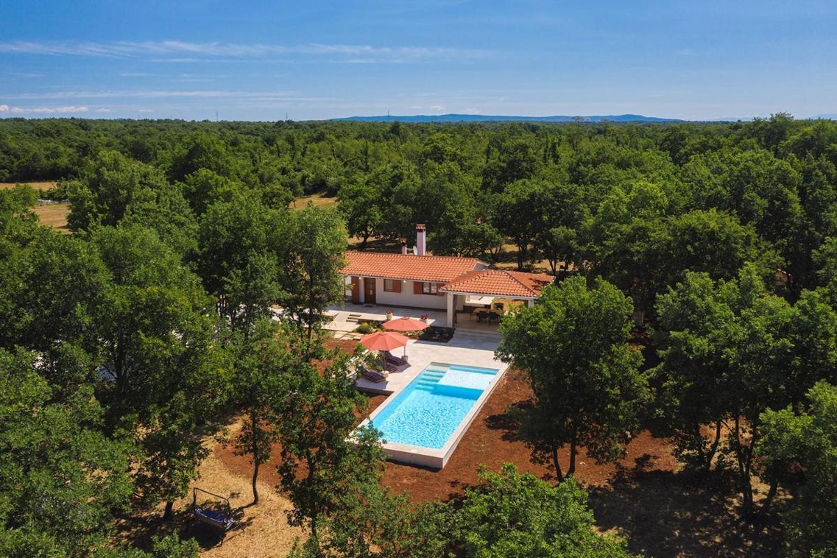 Villa Martinetinka Vodnjan Exteriér fotografie
