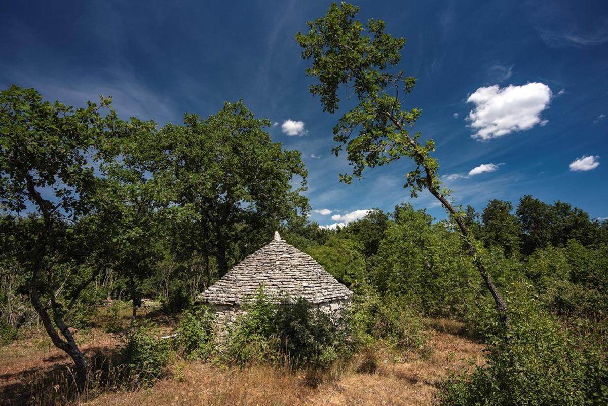 Villa Martinetinka Vodnjan Exteriér fotografie